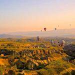 Adrain Nikolaus Profile Picture